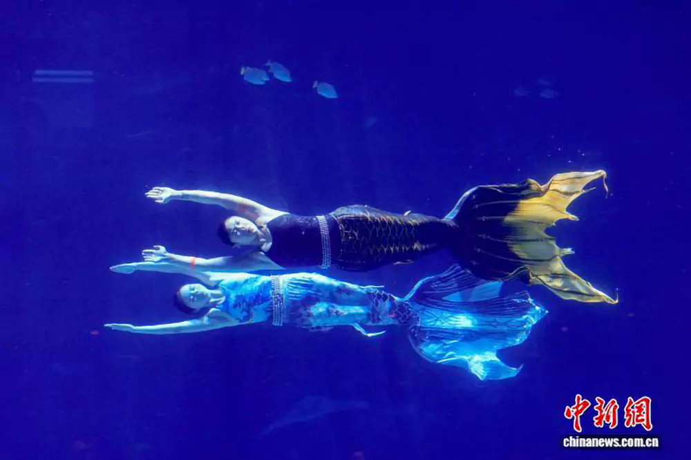 8月28日,世界潜联首届美人鱼潜水世界杯赛暨2026年中国美人鱼公开赛(陵水站)赛事正在海南陵水进行。混合组双人技巧预赛当日打响,12组选手展开水下比拼。图为中国组合徐申洁、乔王玄婧在比赛中。中新网记者 骆云飞 摄